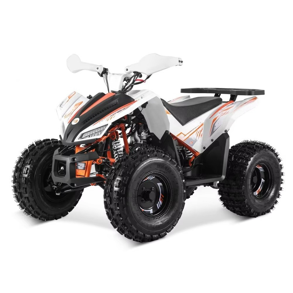 Stlf Tao Motor 2026 รถเอทีวีสป - Bike Chain บทวิจารณ์และราคา
